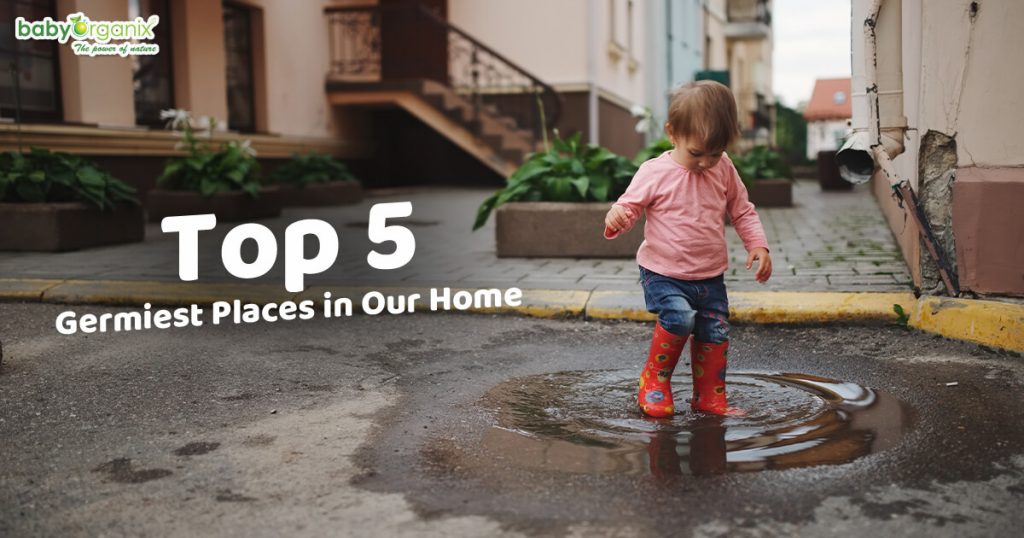 Top 5 Germiest Places in Our Home