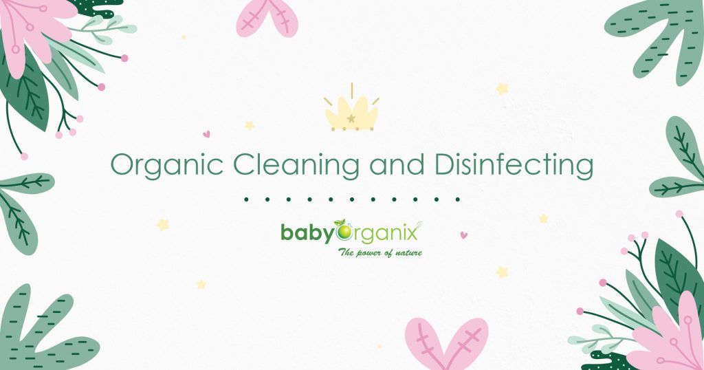 Organic Cleaning And Disinfecting Babyorganix