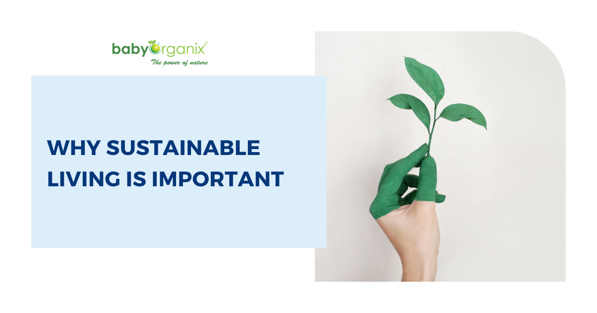 Why is Sustainable Living Important: Benefits for a Greener Future